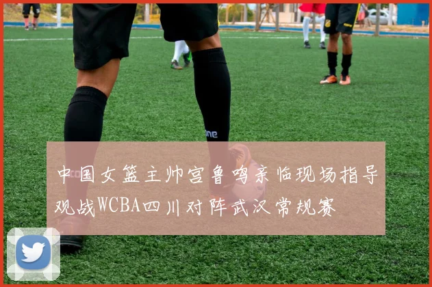 中国女篮主帅宫鲁鸣亲临现场指导观战WCBA四川对阵武汉常规赛