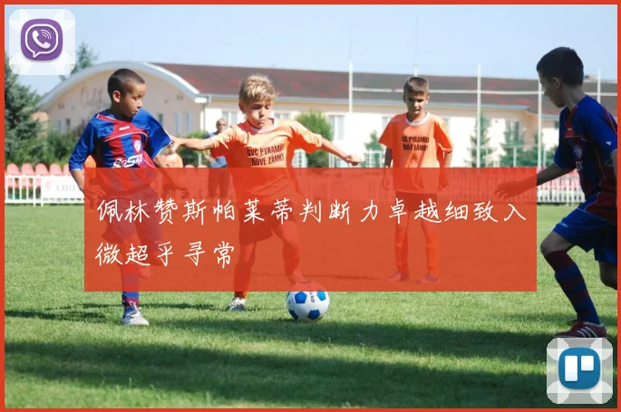 佩林赞斯帕莱蒂判断力卓越细致入微超乎寻常