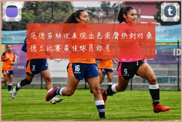 范德芬助攻表现出色荣膺热刺对桑德兰比赛最佳球员称号